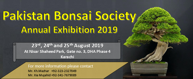 Pakistan Bonsai Society organized the 26 th annual Bonsai Exhibition at  Zamzama Park in Karachi. – Daily The Azb